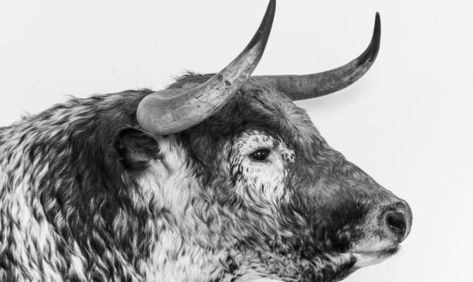 When FOMO hits, remember this 👇