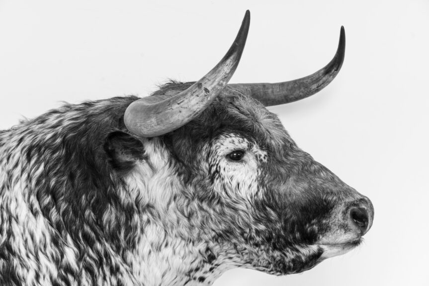 When FOMO hits, remember this 👇